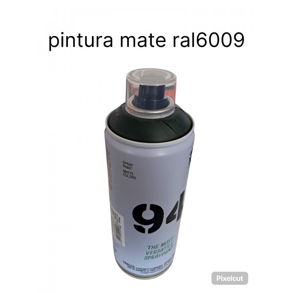 Pintura ral 6009
